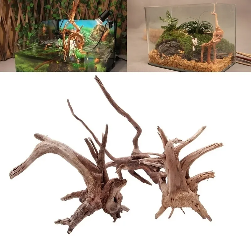 Marine Aquarium All In One - Tronc d'Arbre Naturel en Bois Flotté
