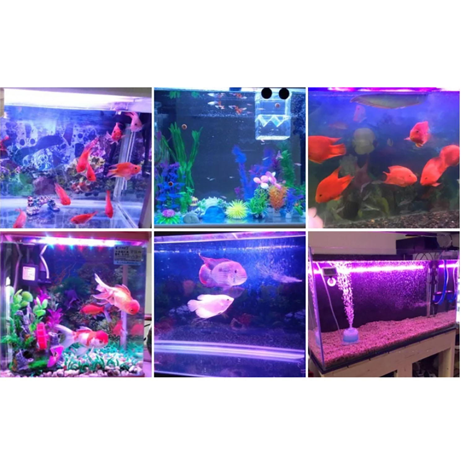 Aquarium Marine Color - Éclairage LED pour aquarium marin multichip