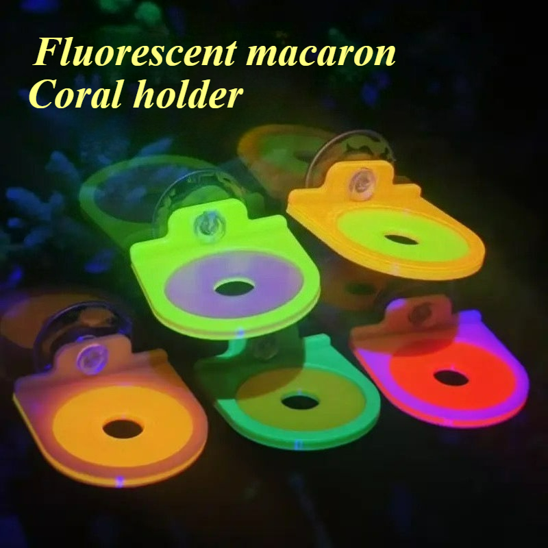 Aquarium Marine Color - Support de Frag de corail de