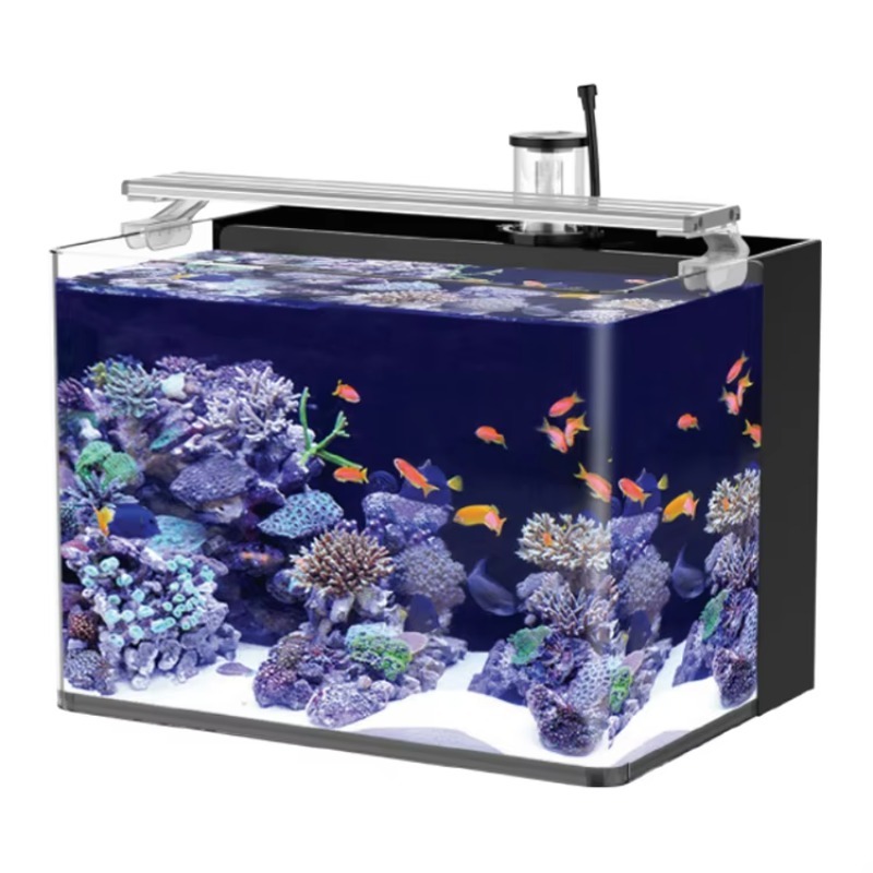Marine Aquarium All In One - Aquarium de table incurvé pour poissons