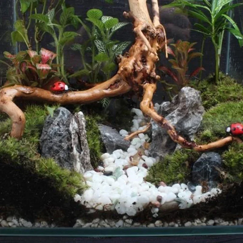 Tronc d'Arbre Naturel en Bois  - Marine Aquarium All In One avis et prix