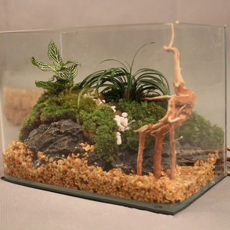Tronc d'Arbre Naturel en Bois  - Marine Aquarium All In One avis et prix