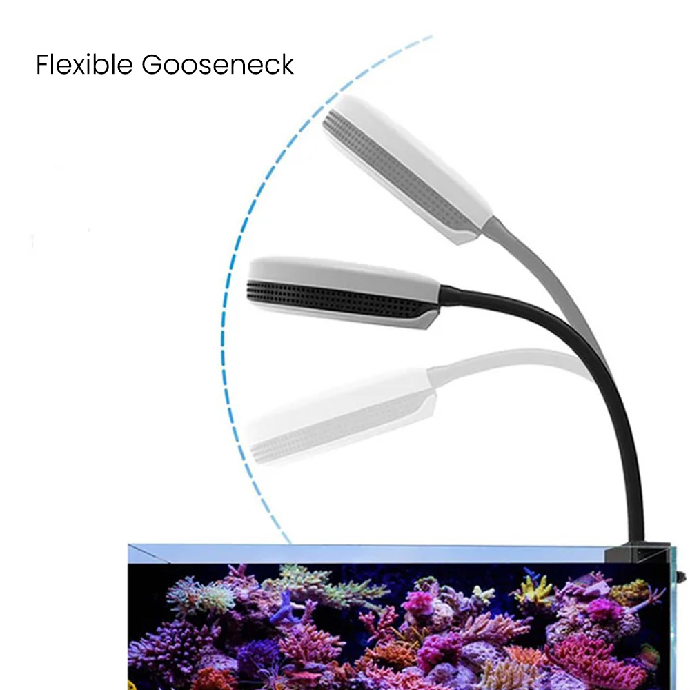 Lampe LED Spectra SP20 20W pou - Aquarium Marine Lights avis et prix