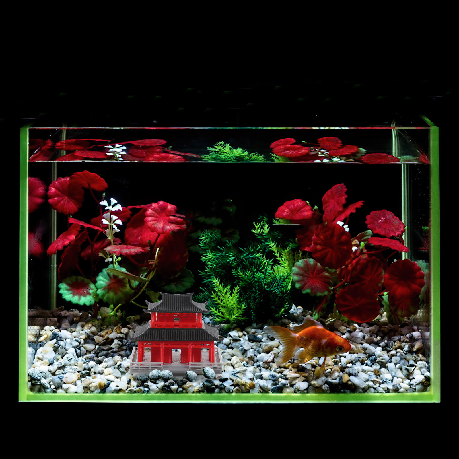 Mini pavillon pagode, architec - Aquarium & Marine Museum Ums avis et prix