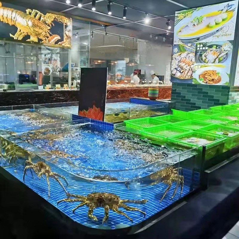 Aquarium carré en verre pour p - Marine Aquarium All In One avis et prix