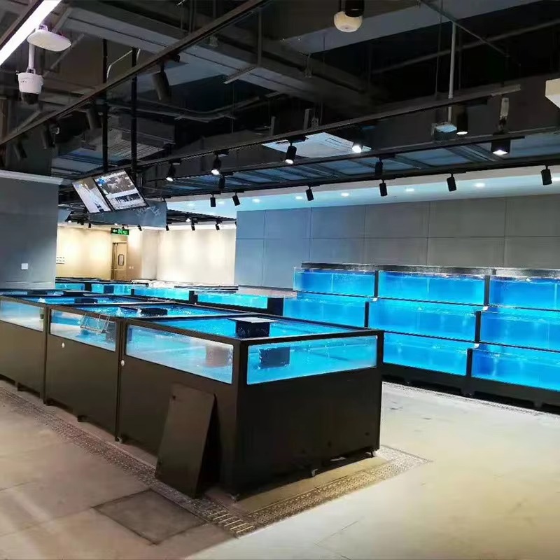 Aquarium carré en verre pour p - Marine Aquarium All In One avis et prix