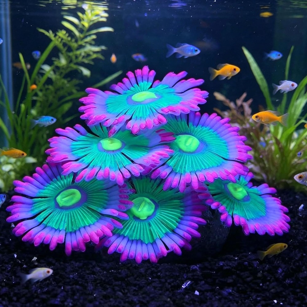 Décorations lumineuses souples - Marine Aquarium All In One avis et prix