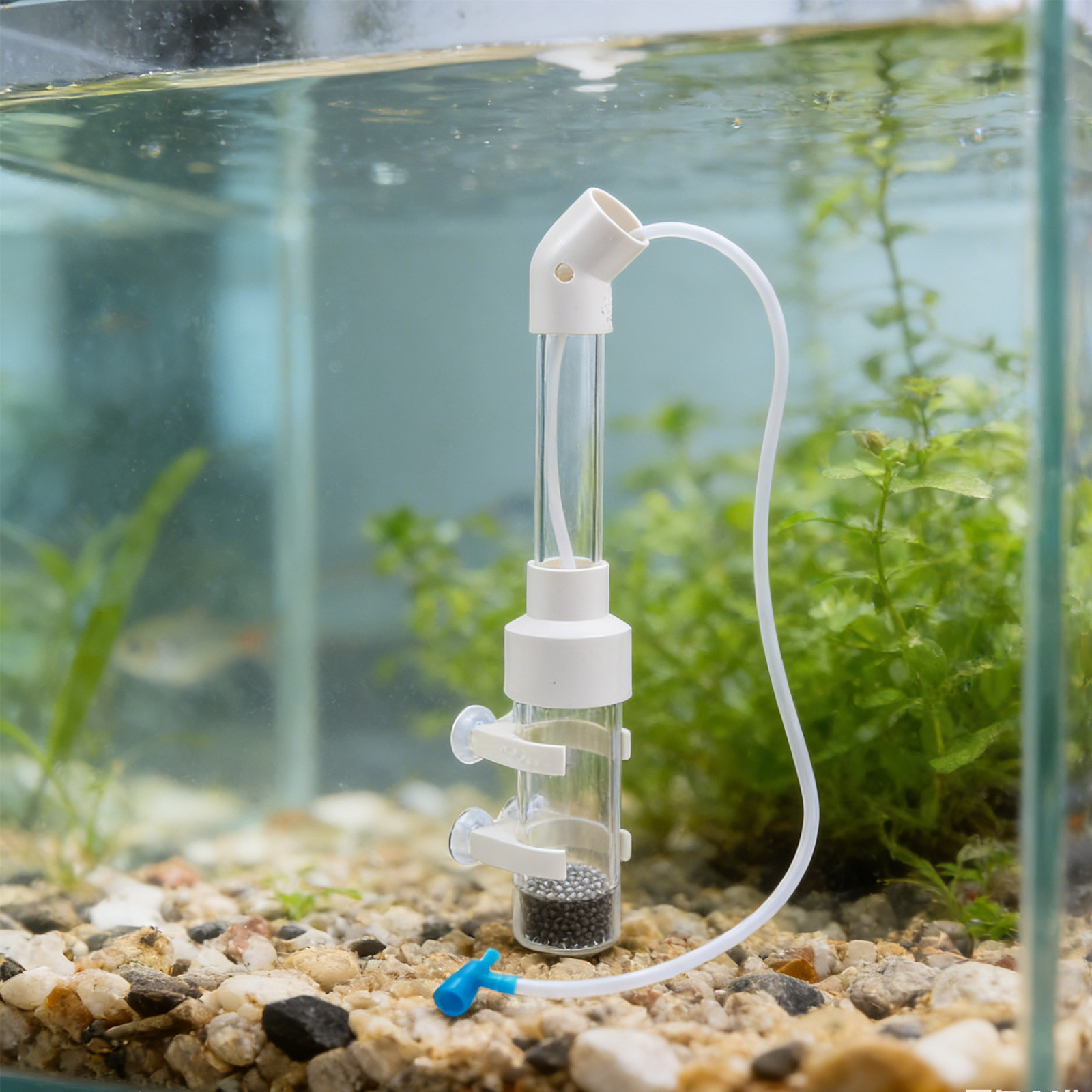 2 ensembles de kits d'incubati - Aquarium & Marine Museum Ums avis et prix