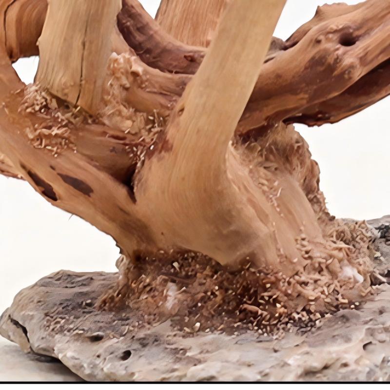 Ornements en bois pour aménage - Marine Aquarium All In One avis et prix