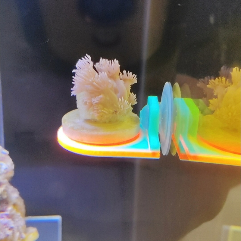 Support de Frag de corail de c - Aquarium Marine Color avis et prix