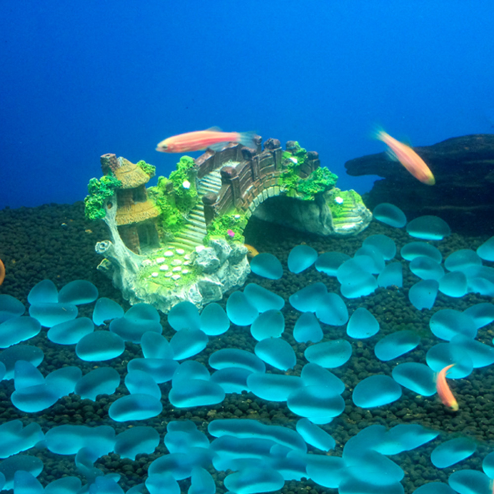 Accessoires d'aquarium arbre a - Marine Aquarium All In One avis et prix