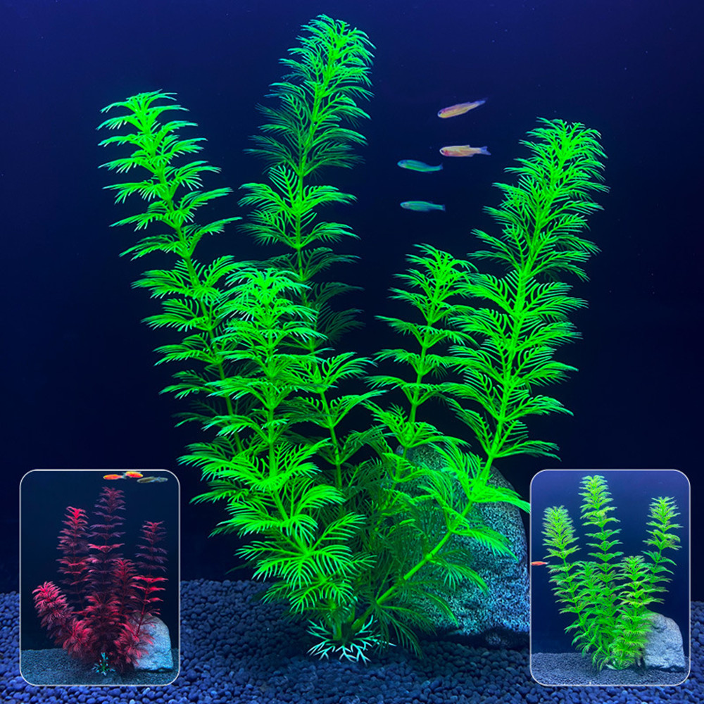 Plantes d'aquarium artificiell - Marine Aquarium All In One avis et prix