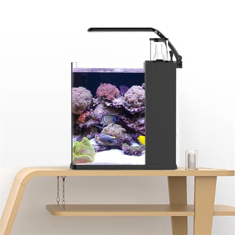 Aquarium de table incurvé pour - Marine Aquarium All In One avis et prix