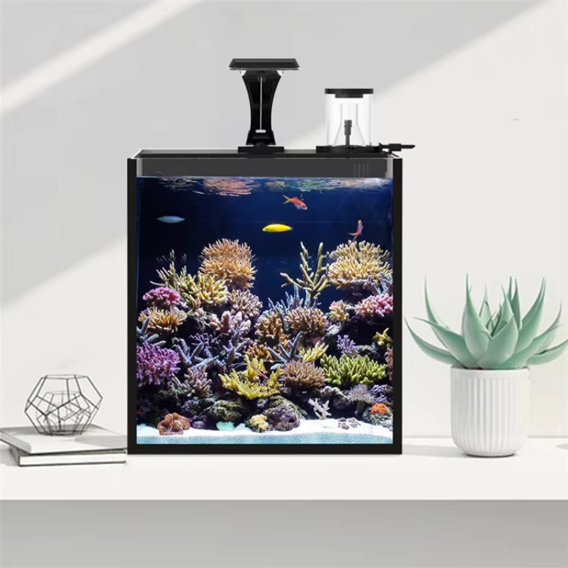 Aquarium de table incurvé pour - Marine Aquarium All In One avis et prix